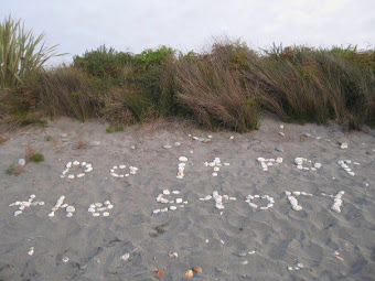 'Do it for the story' written in shells on the beach